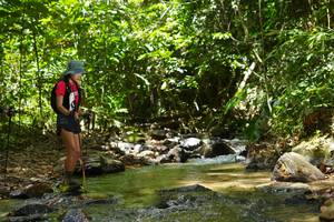 BIB: 
                            <button type="button" onclick="openModal(21844727)" class="btn btn-primary btn-sm float-right btn-popup" data-toggle="modal" data-target=".modal-high-quality">
                        <i class="fas fa-shopping-cart"></i> Add to Cart
                    </button>
                                            <button type="button" onclick="isThisMe(21844727, true)" class="btn btn-success btn-sm float-right btn-popup btn-isme hidden" data-toggle="tooltip" data-placement="bottom" title="นี่คือรูปของคุณใช่ไหม คลิกที่นี่เพื่อเอาเข้าอัลบั้ม">
                        <i class="fas fa-plus"></i> Add to album
                    </button>
                    <button type="button" onclick="isThisMe(21844727, false)" class="btn btn-warning btn-sm float-right btn-popup btn-isnotme hidden">
                        <i class="fas fa-ban"></i> Remove from album
                    </button>